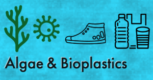 Algae and bioplastics