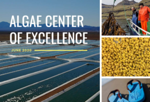 Algae Center for Excellence icon