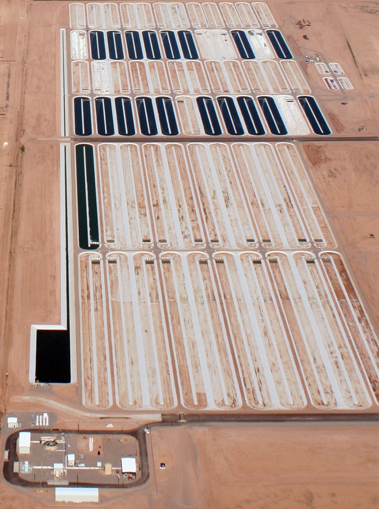 Sapphire Energy's Green Crude farm in Las Cruces, NM