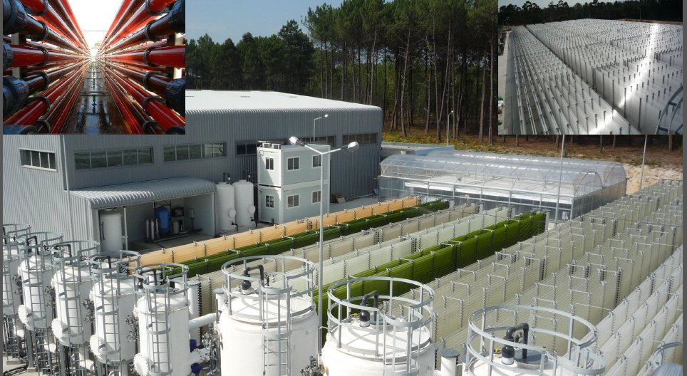 Algae biofuel facility in Europe