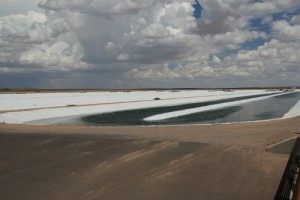 One of Sapphire Energy's 2 acre algae ponds